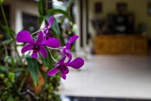 Ubud Tri Upasedana House 2 Tegallalang  Εξωτερικό φωτογραφία